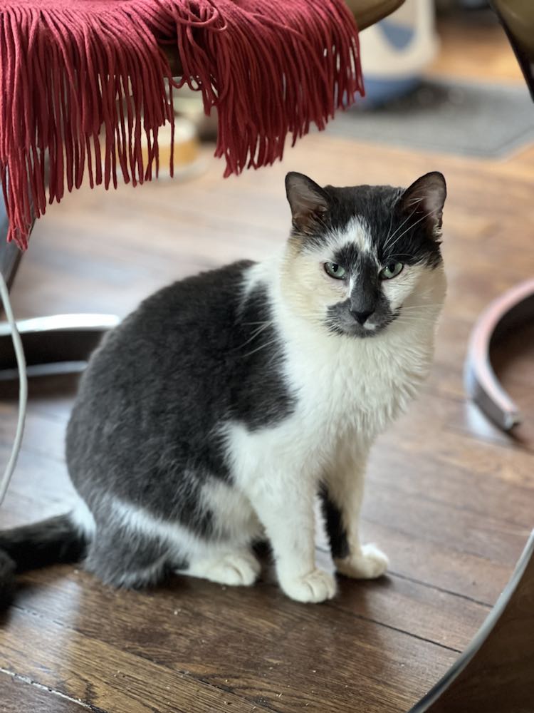 432425169_3723435061312544_5960573335748092677_n