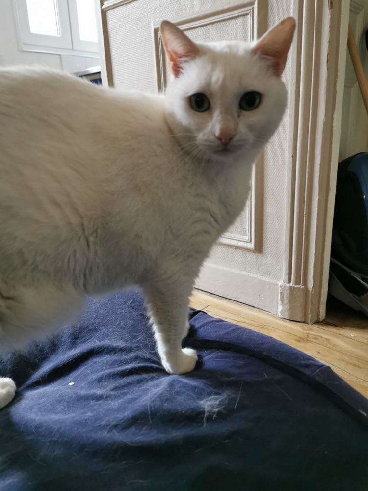 432510853_938963961001843_2817921317721496719_n