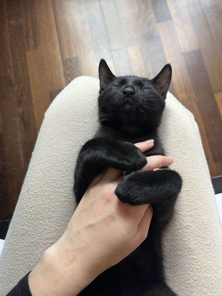 433444392_1638004417003034_356445194627912431_n