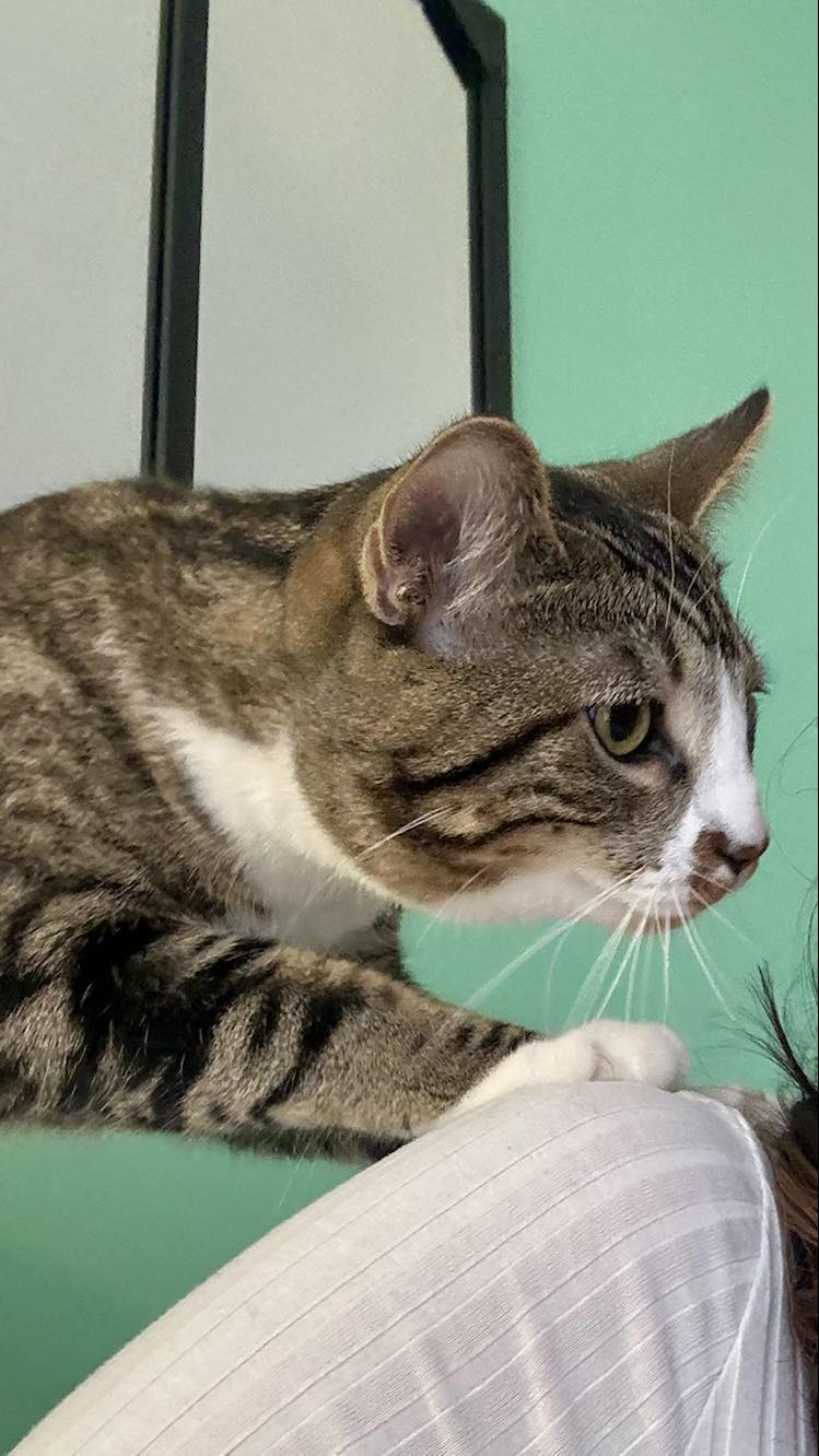 434149771_393878733508408_5934395294210048547_n