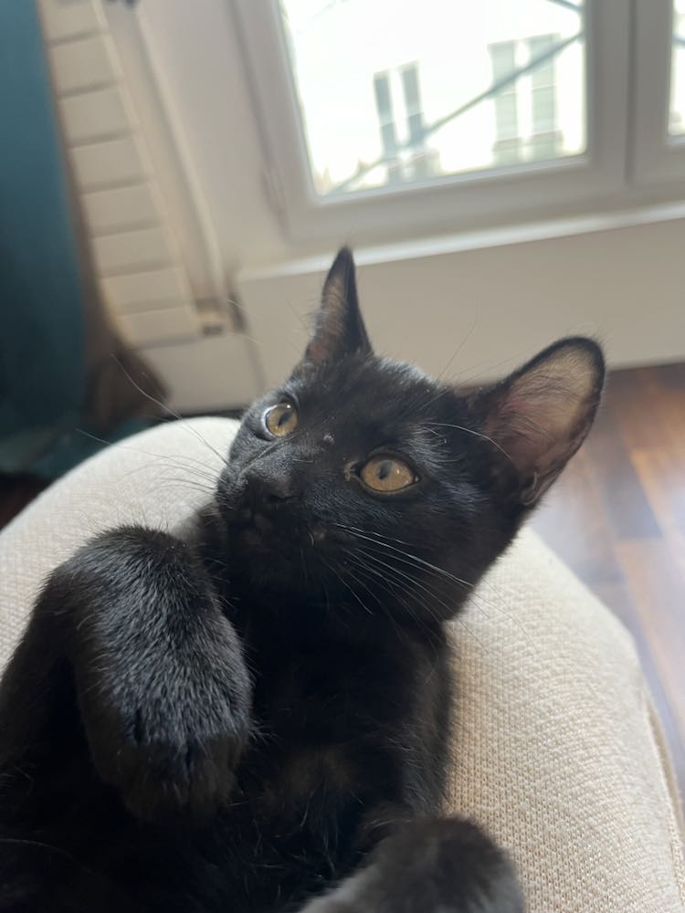 434186653_1613537205852881_7830420835731607738_n