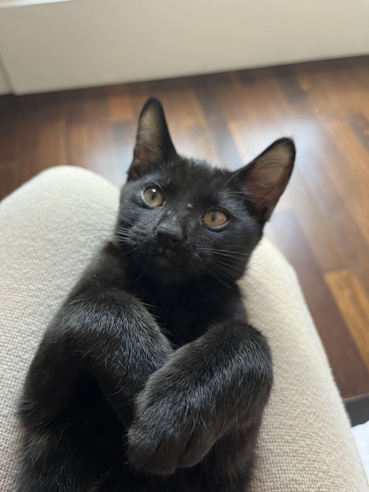 434188556_432243002612647_3239535995969370341_n