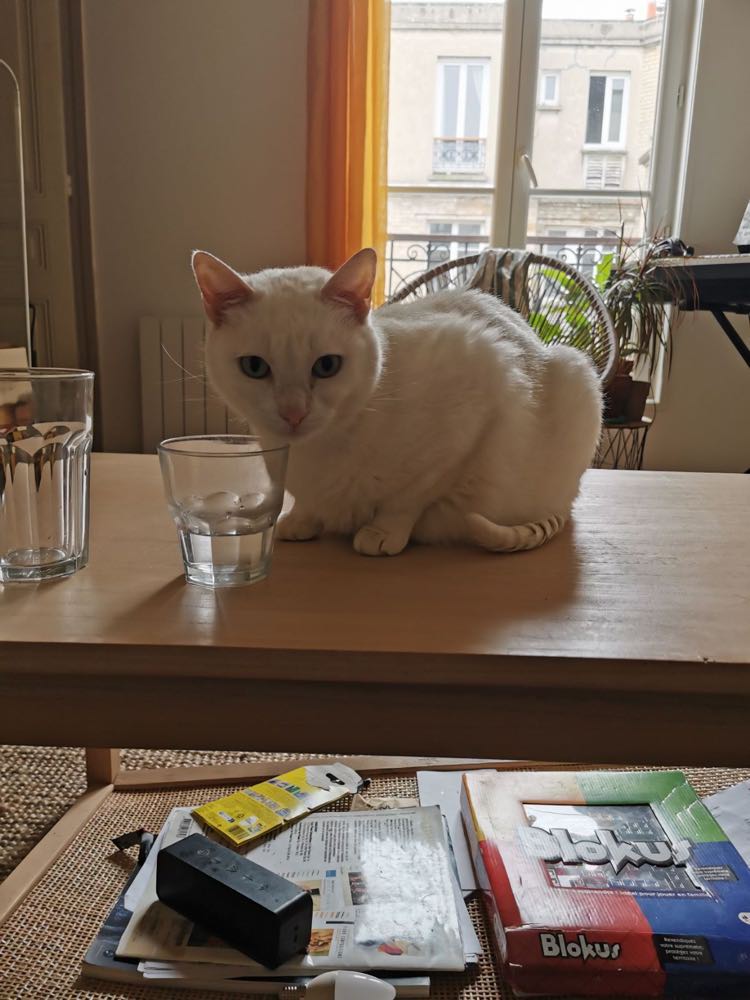 434203481_3703127059925543_5981319012542724871_n