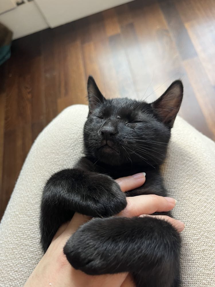 434257495_7489514224458400_1836855733610591600_n