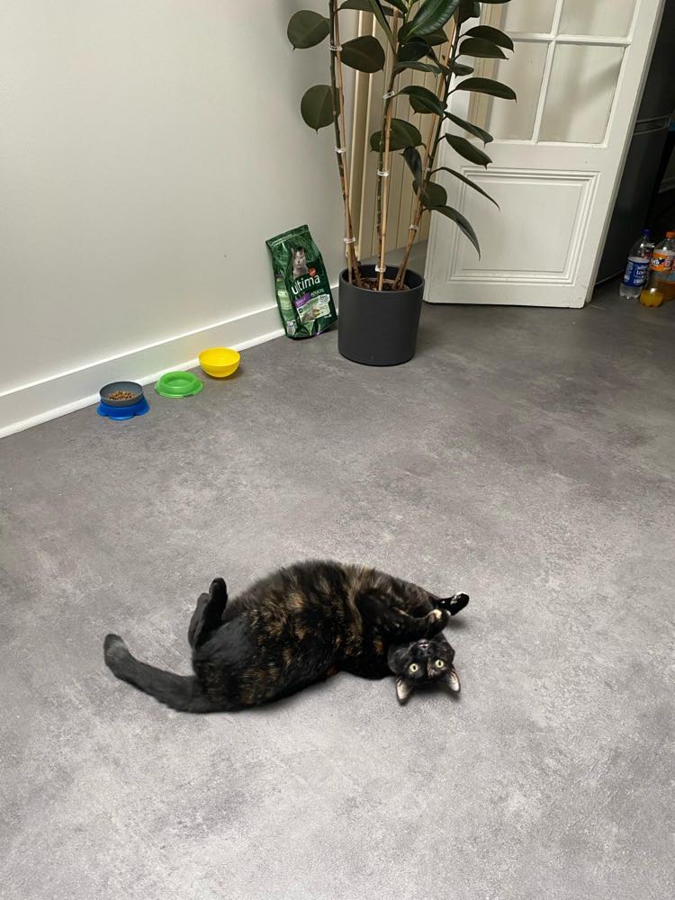 434628295_731042185846167_4290219489838023746_n