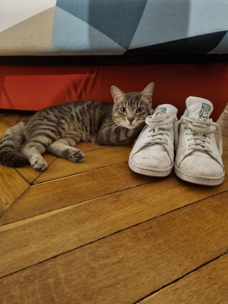 434635892_962553471982270_502663599293370058_n