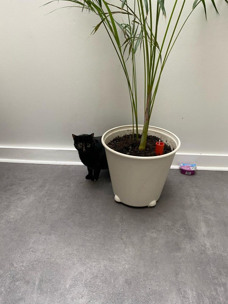 434637224_891015462709656_7167985066020730496_n