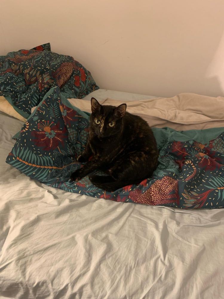 434638544_1502712700287818_8133315206429014089_n