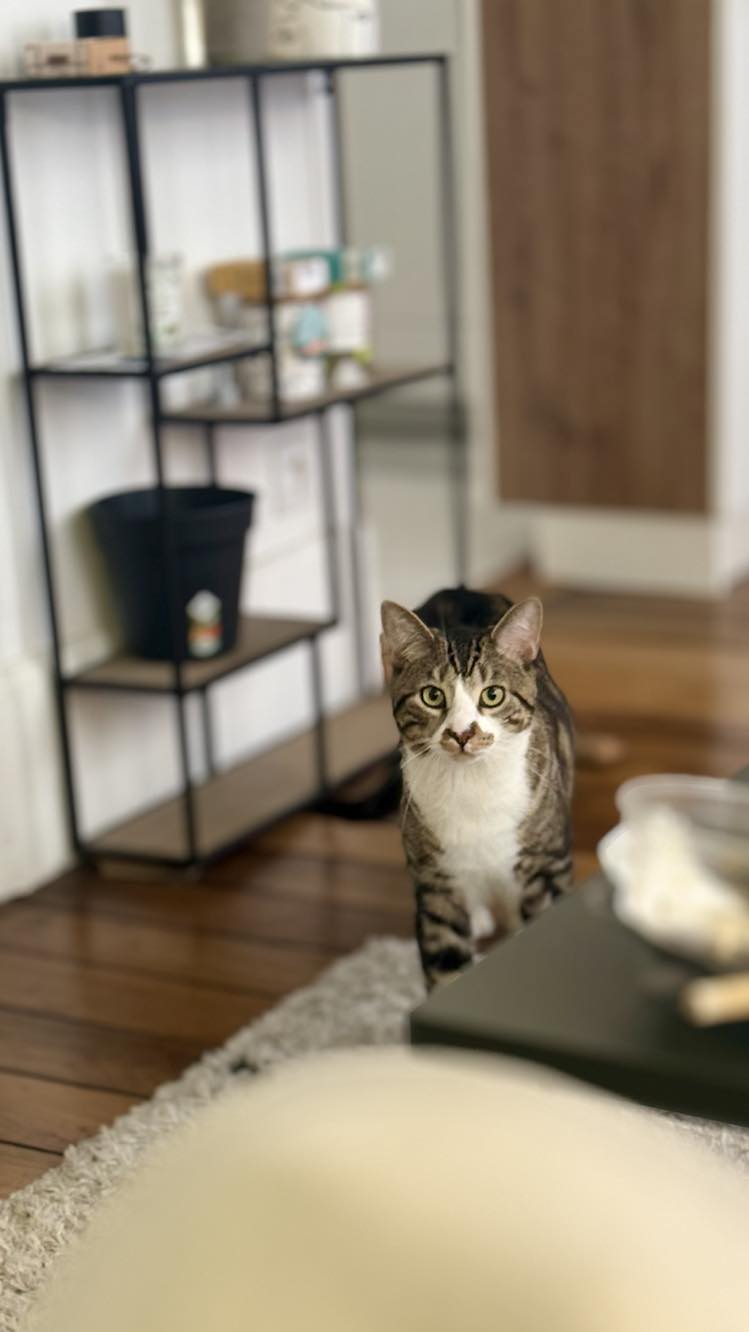 434645734_460301026342246_1891998349560790539_n