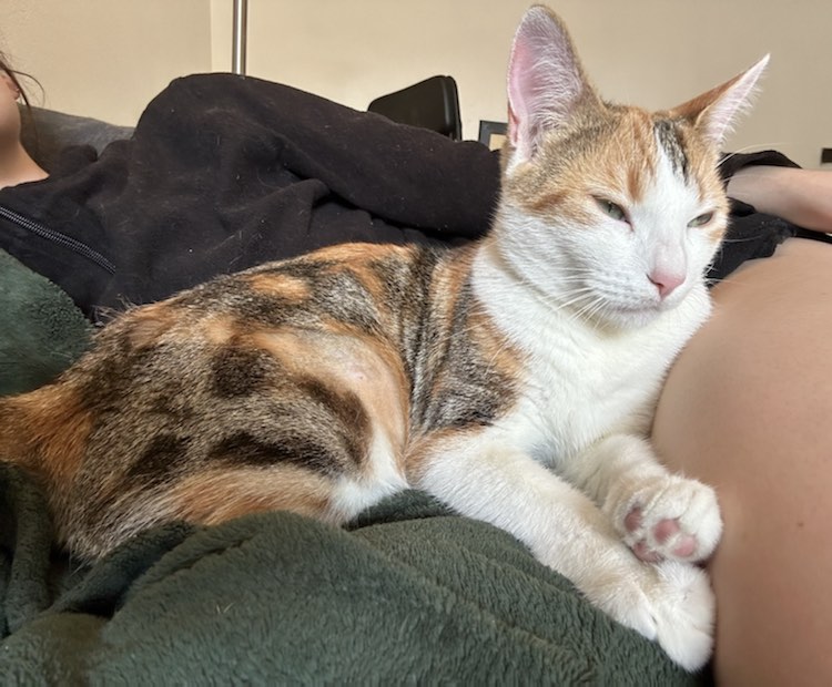 434648797_1478820933019957_1506542858759920683_n