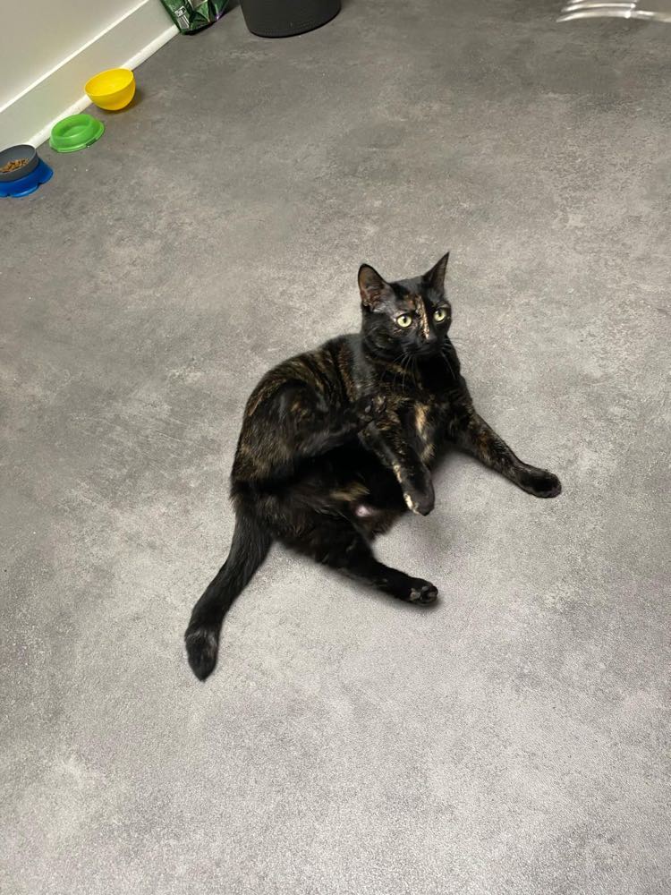 434676603_781966747200621_6419654516899845833_n