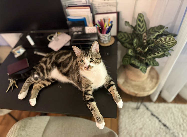 434680180_797953068918175_4625114502984106449_n