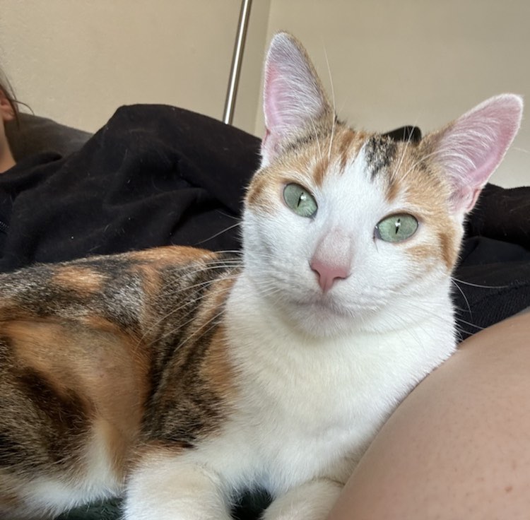 434685307_437141178831276_6659542744522640249_n