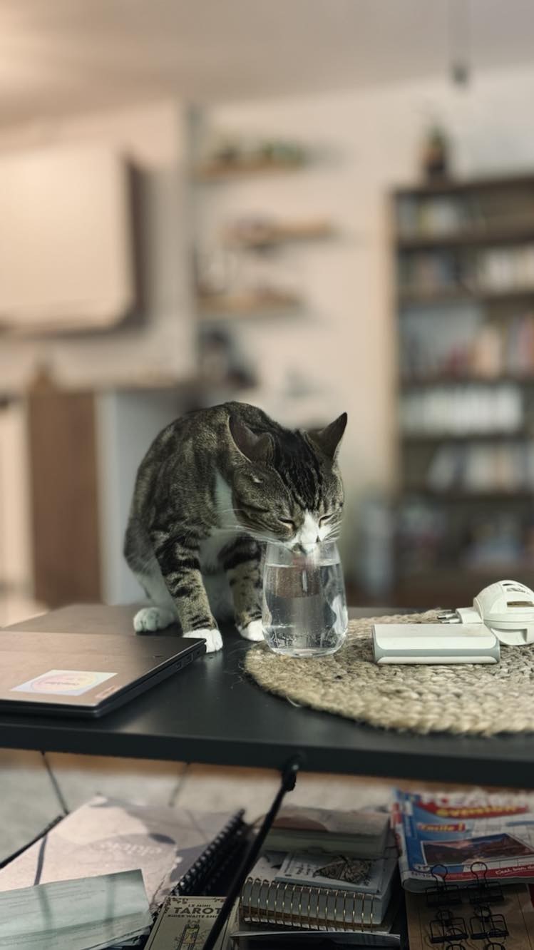 434694666_772332181528018_2833834392914782327_n