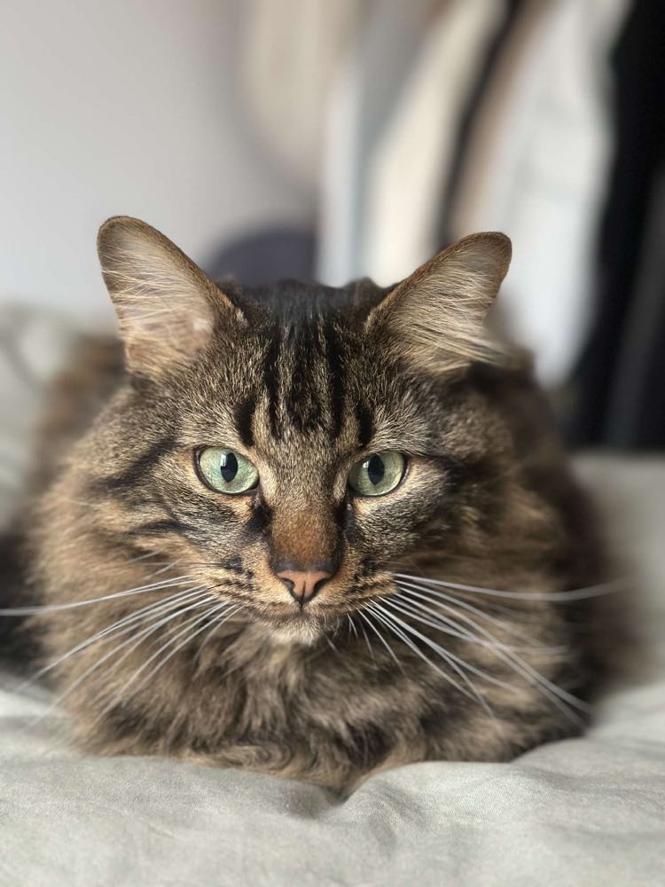 434714669_419176667368063_7910881583583562437_n