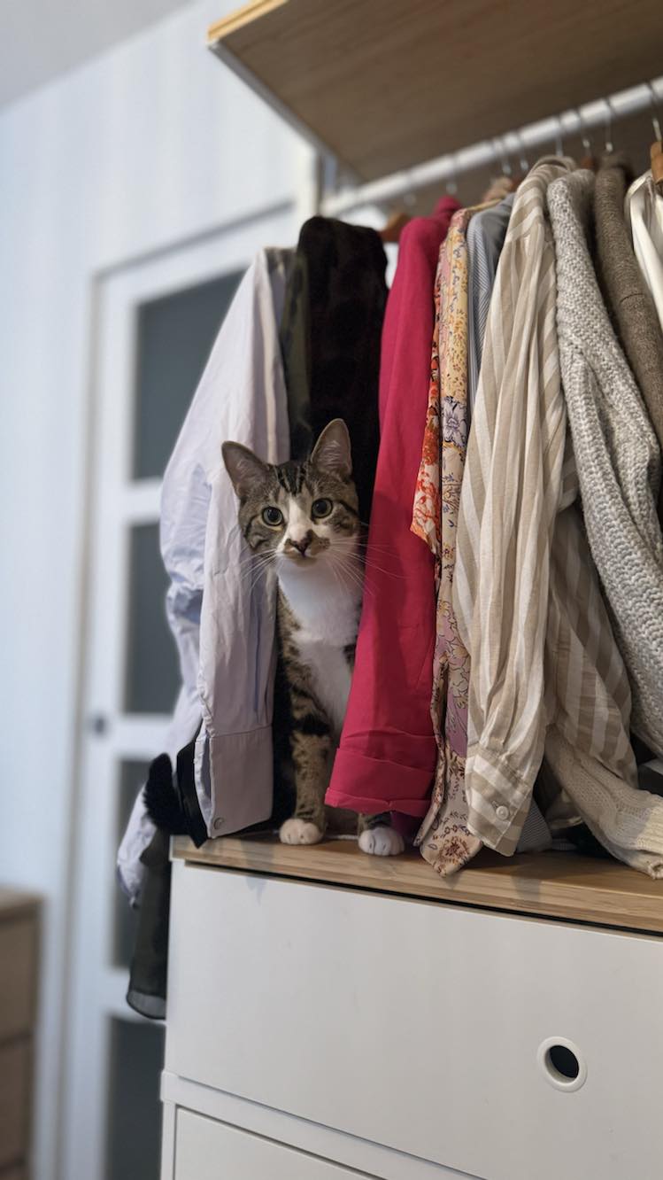 434771380_949936013171323_2116980149168236084_n