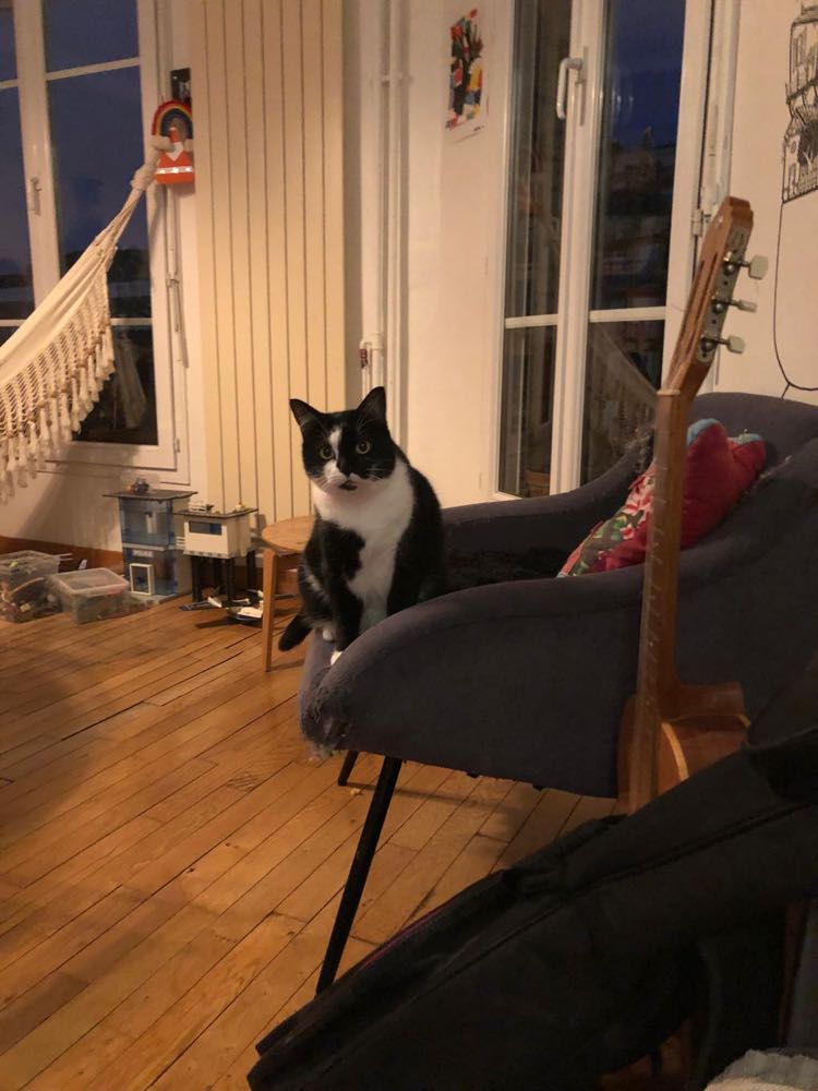 434775726_3123458674458376_3470600936065360887_n