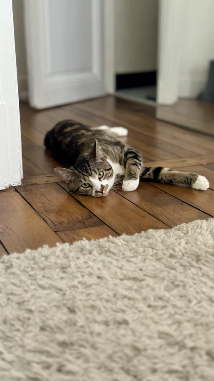 434848400_958217762399897_5489995097973101153_n