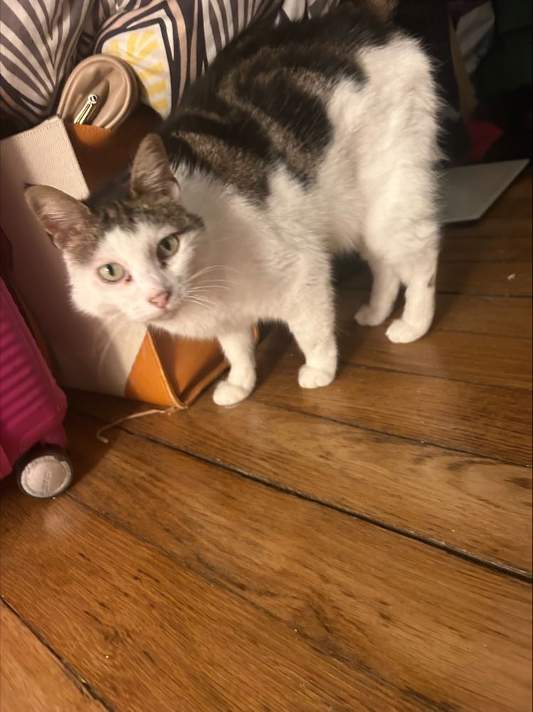 434883608_963116701824273_1552622449572341271_n