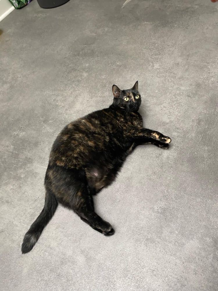 434899119_442071808220637_676773867228658814_n