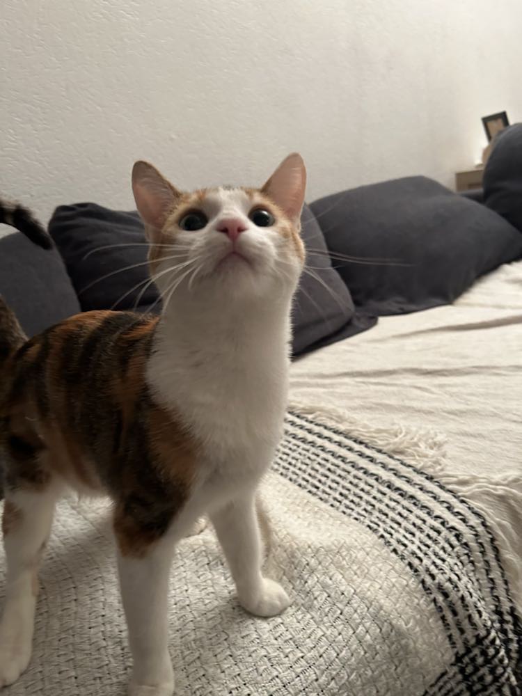 434972402_945244820715021_2742457149225837524_n