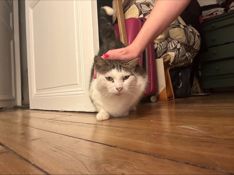 435018154_310291382086429_8047934372923007742_n