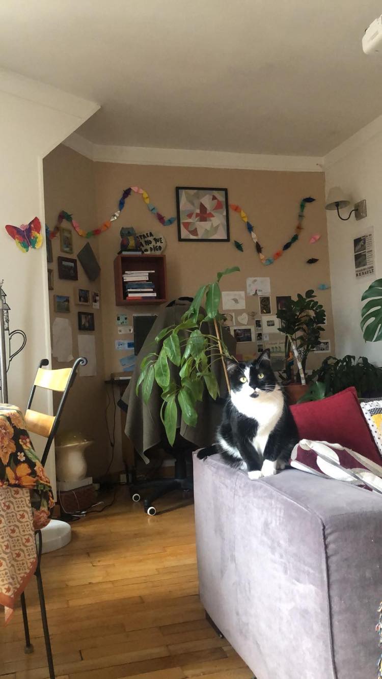 435061396_802054151341480_4935592184937527066_n-1