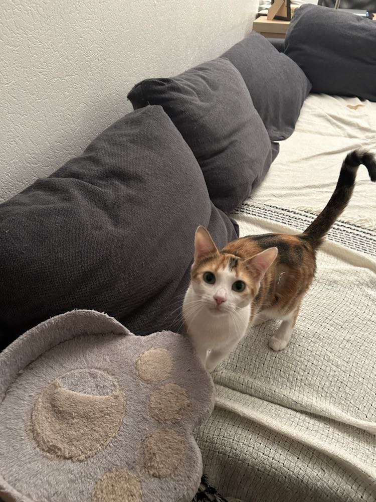 435112918_253613281079546_7228196583684375476_n