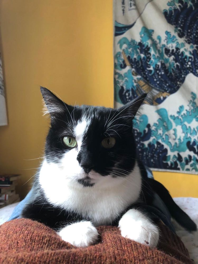 435115543_804164258290326_3823268533221341729_n