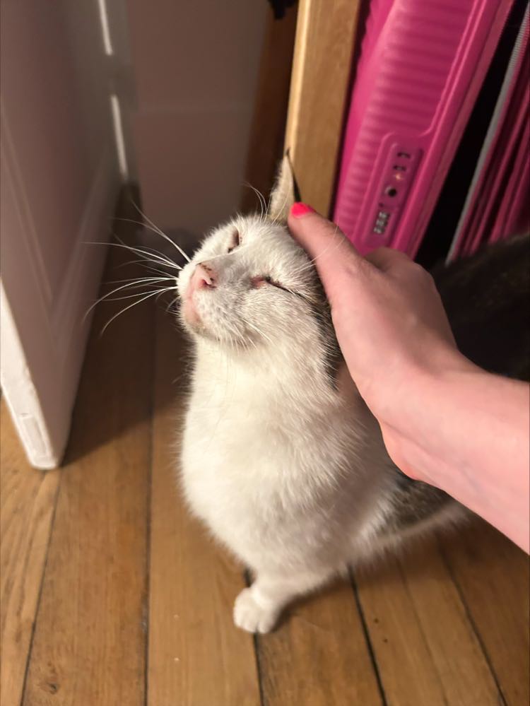 435147653_391531383649155_6462978578912605962_n