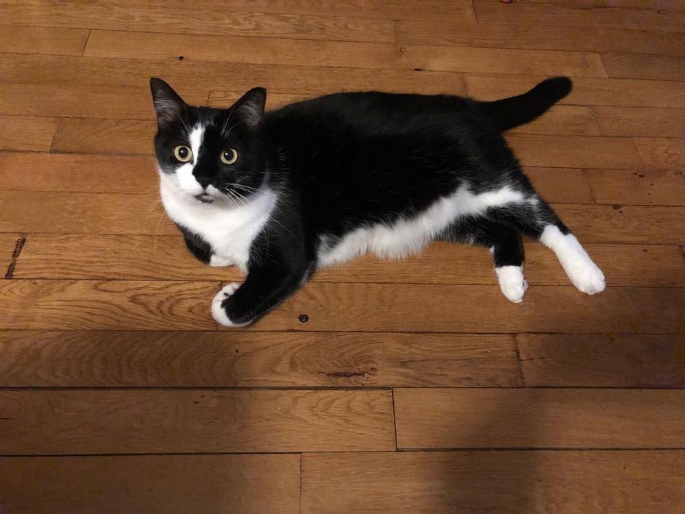 435163977_231408916695608_7881531483944839109_n-1