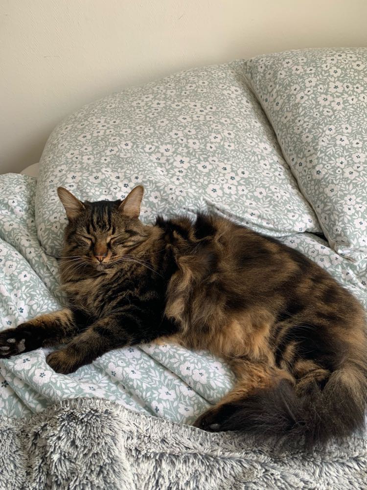 435305035_406488702330667_7065845684131587990_n