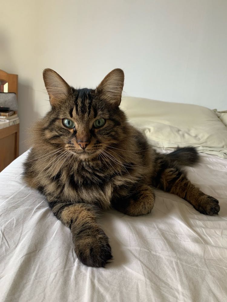 437148431_924999372709482_3586668230136206931_n