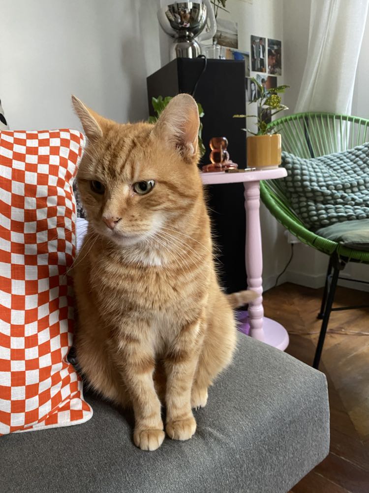 437167307_830555045770461_7546003910977485411_n