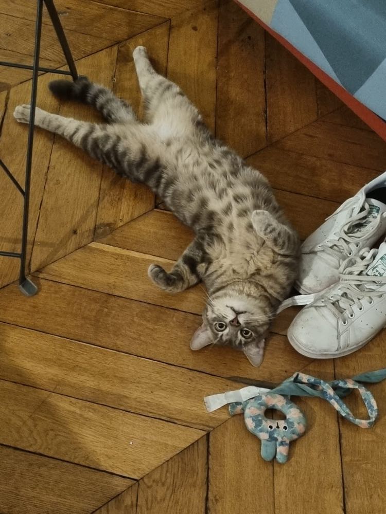 437185009_353540481052247_5957288301786919788_n