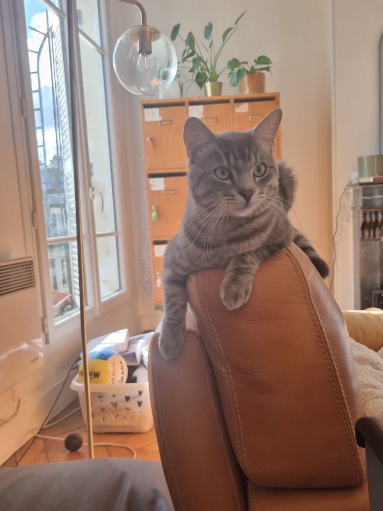 437210083_306127122581688_4594839680932349239_n