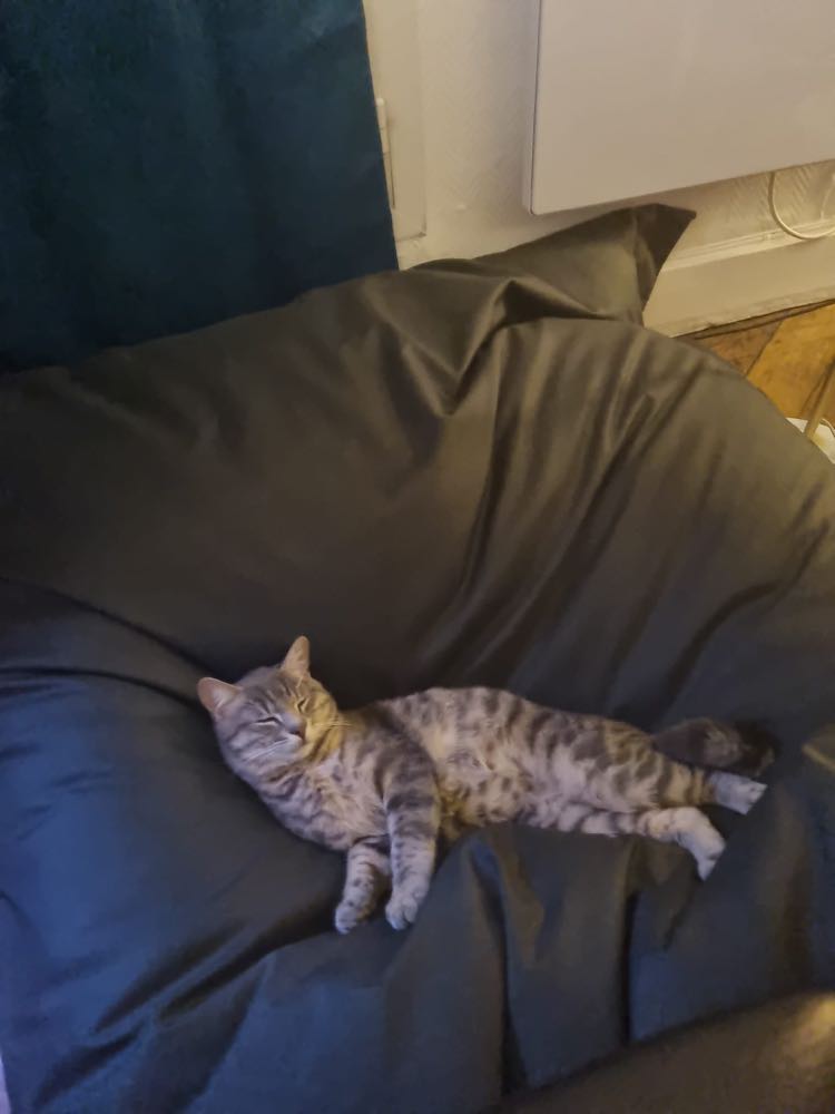 437220703_2143413972689132_8517051282793964084_n