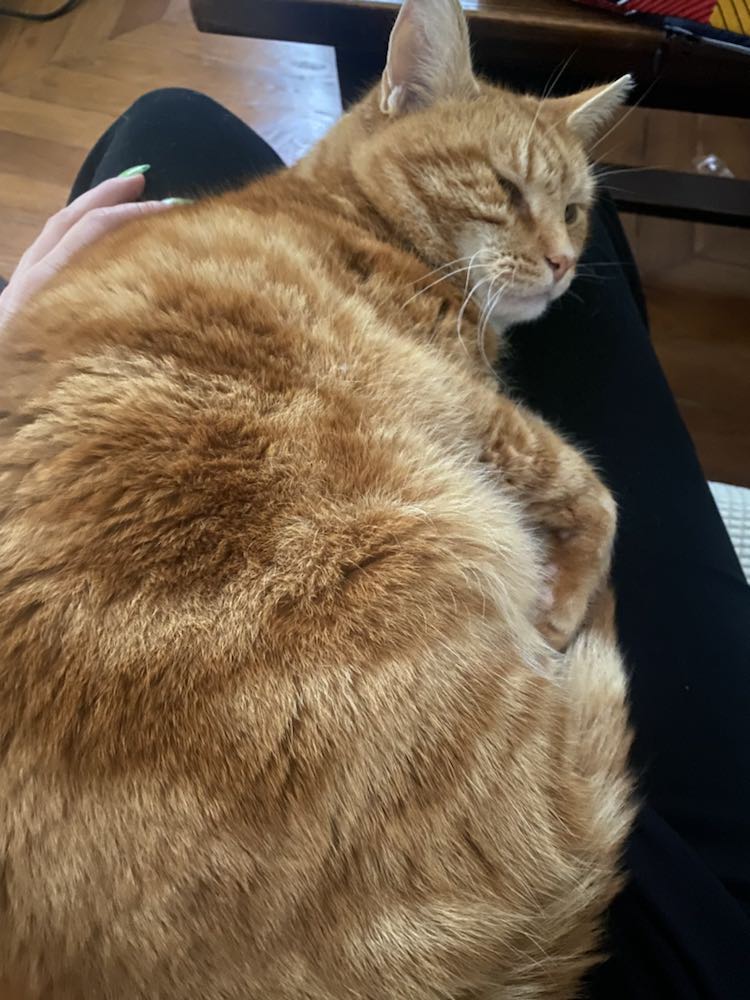 437558441_958649432391316_3380030570053624295_n