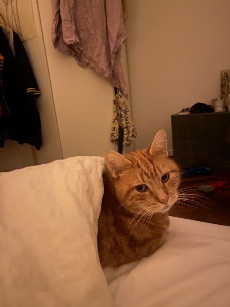 437661575_1188860892132788_3607129059491166300_n