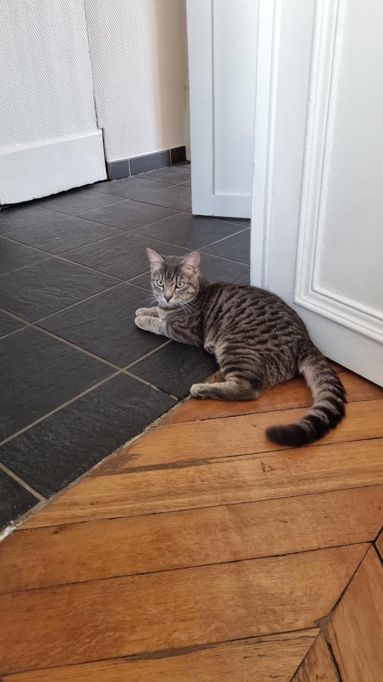 437667688_402375365995843_1309650153949151790_n