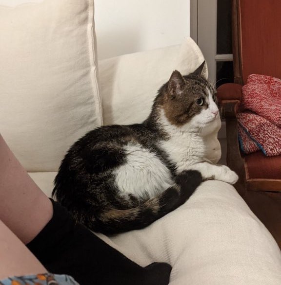 5898228701271838759-copie