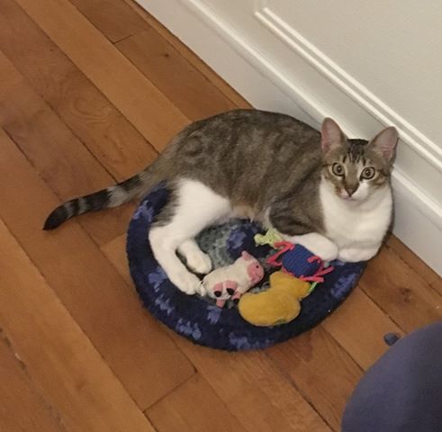 67094559_369005887078666_5900394065148510208_n