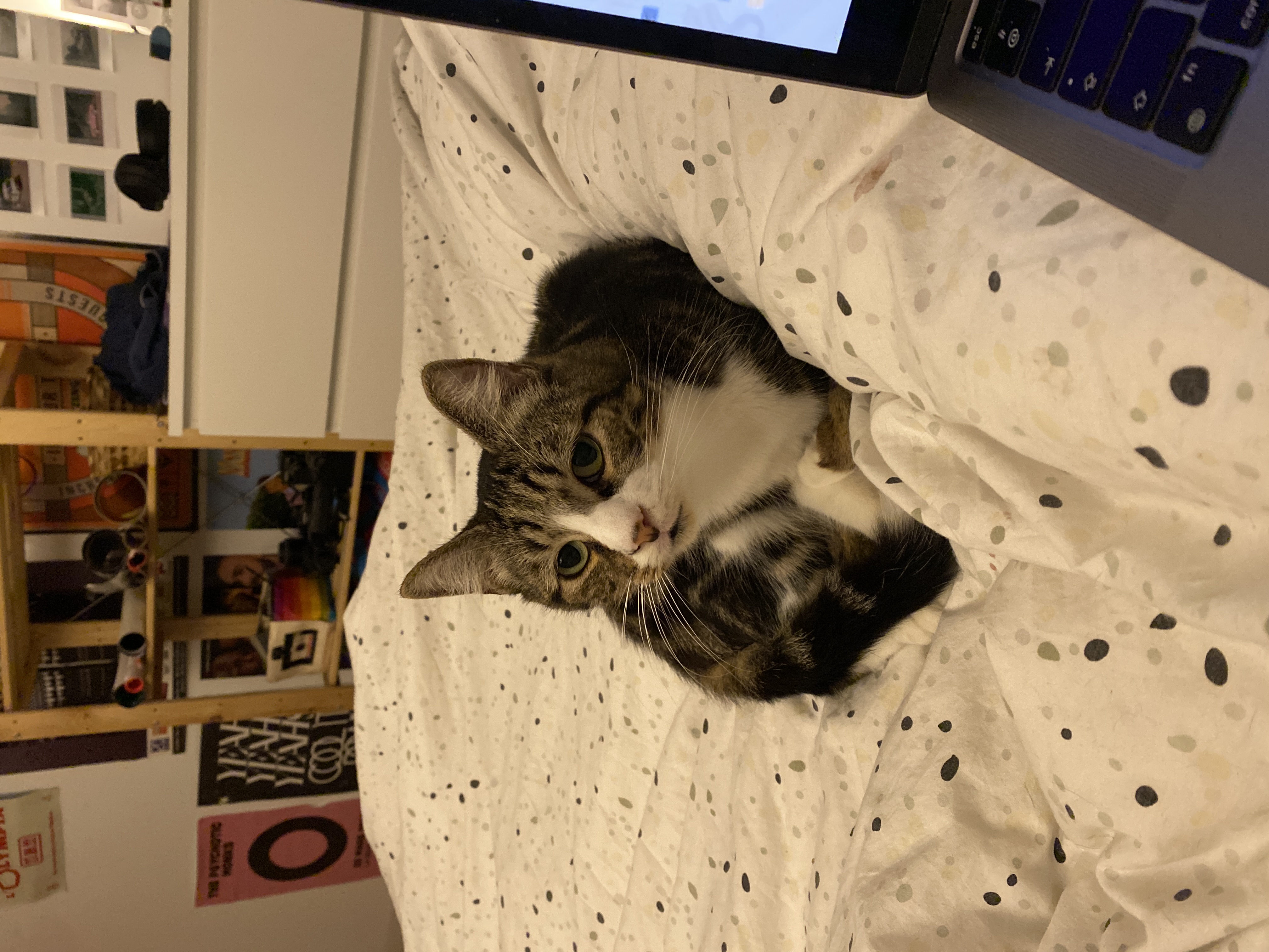 69619861258__9C6902CC-66DA-468C-A528-CC0823B2CF84