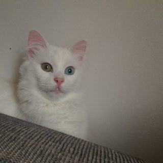 Photo de Amor et Nina