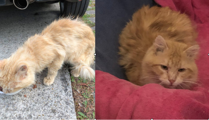 Capture-decran-2022-04-04-a-15.41.54