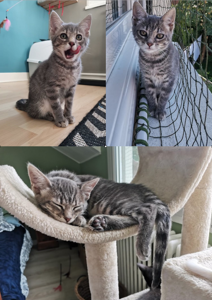 Capture-decran-2022-06-21-a-15.23.55