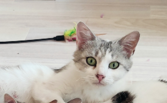 Capture-decran-2022-07-07-a-15.49.44-1