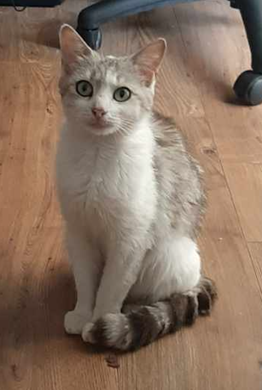 Capture-decran-2022-07-07-a-15.51.54