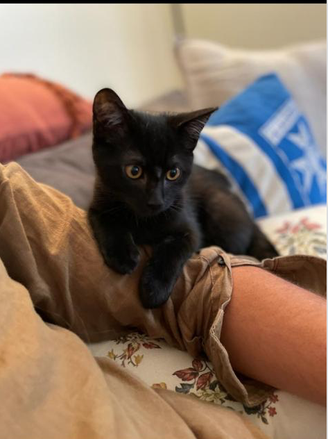 Capture-decran-2022-10-16-a-19.19.49