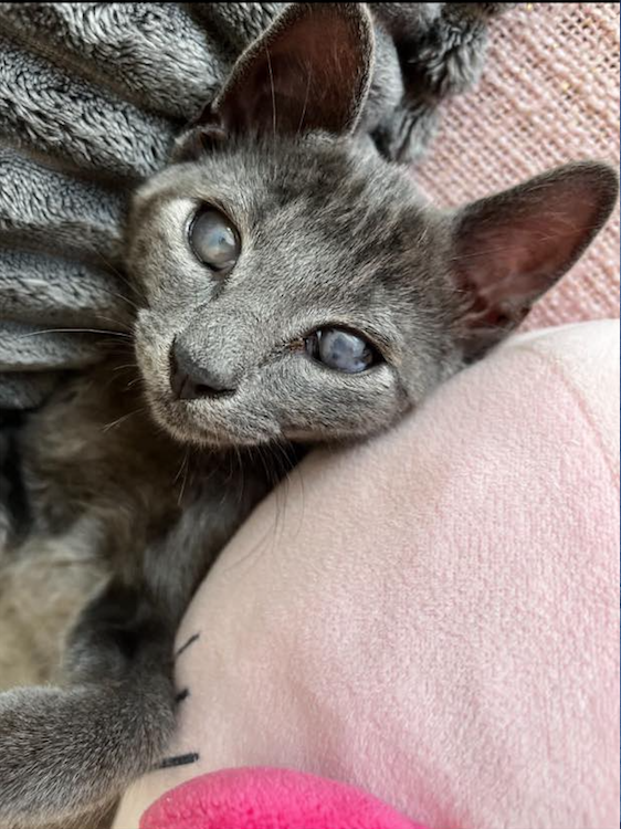 Capture-decran-2022-11-02-a-20.01.57